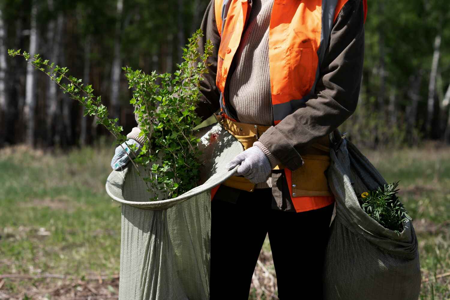  Hawkinsville, GA TreeGuard Tree Service Pros